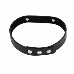 Deluxe Collar (SLAVE)