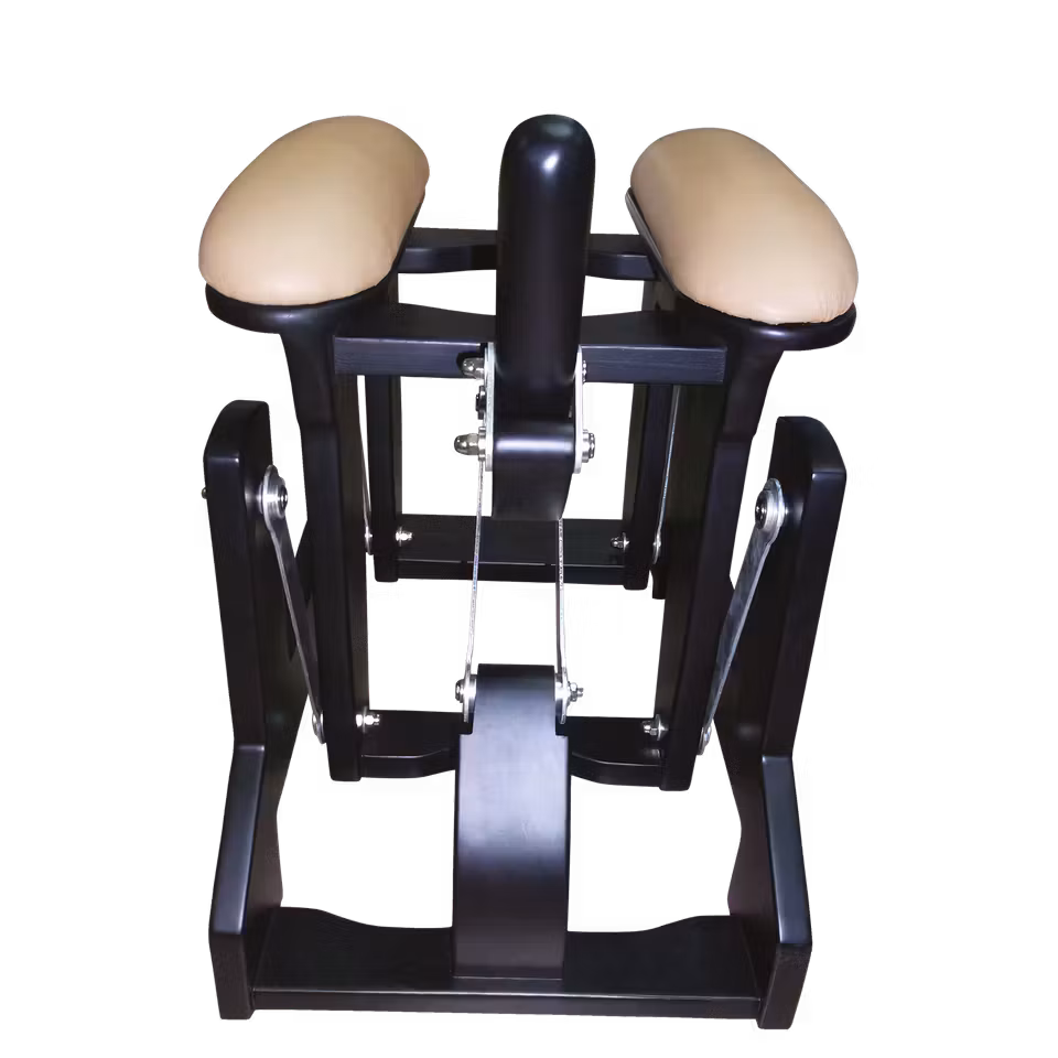 The Love Rider Sex Machine