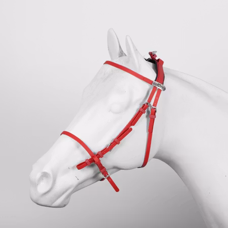 Finntack Pro Open Race träns i syntet (100 % Beta)