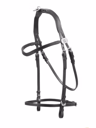 Wahlsten huvudlag i läder utan käk