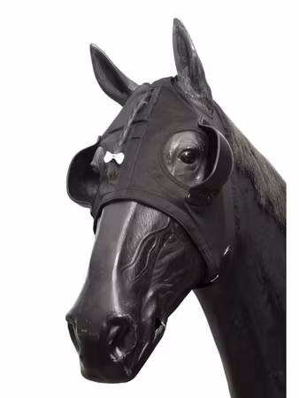 Wahlsten Huvudskydd med kupor