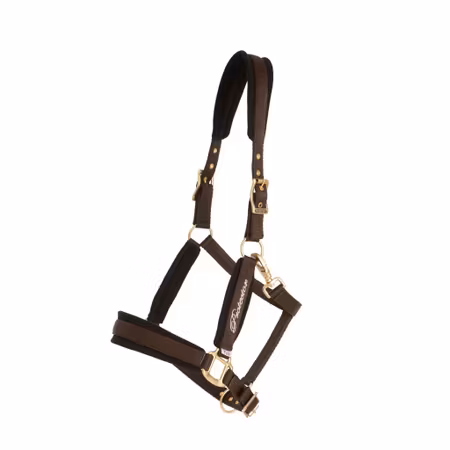 Protector Comfort Grimma