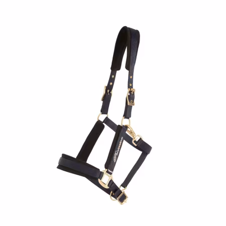 Protector Comfort Grimma