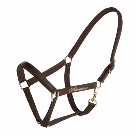 Protector Derry Grimma