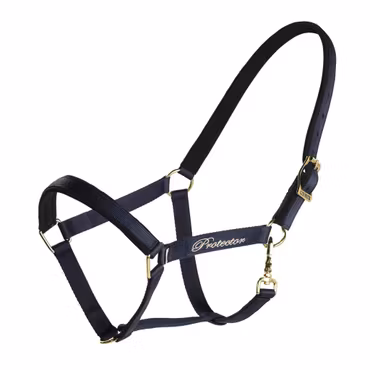 Protector Derry Grimma