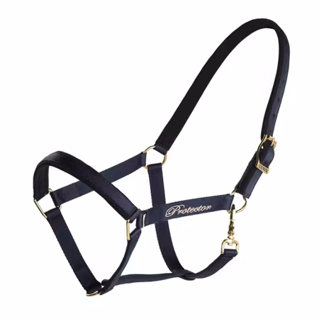 Protector Derry Grimma