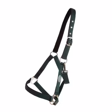 Horse Unique Grimma Basic