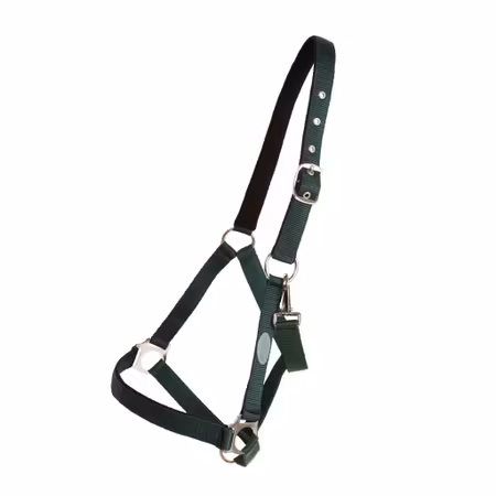 Horse Unique Grimma Basic