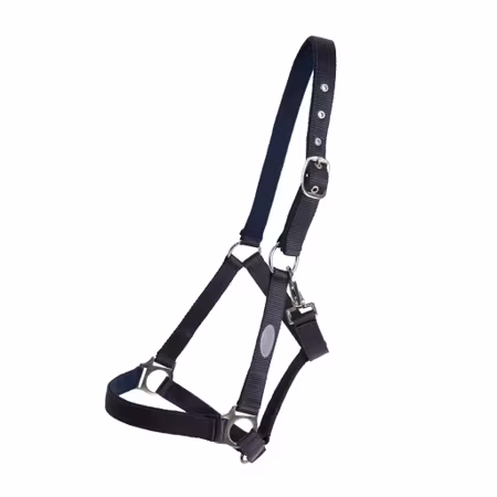 Horse Unique Grimma Basic