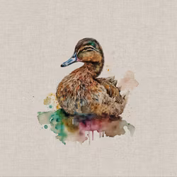 Panel And  - Motiv 6