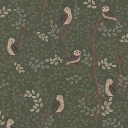 Lin Look Panama - Forest Owls