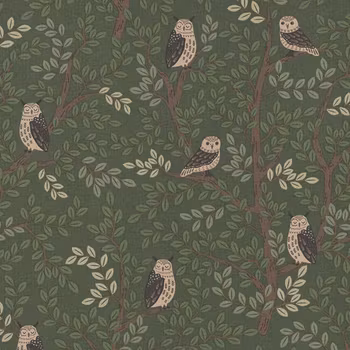 Lin Look Panama - Forest Owls