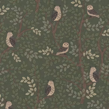 Lin Look Panama - Forest Owls