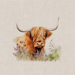 Panel Highland Cow  - Motiv 1