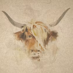 Highland Cow - panel 4