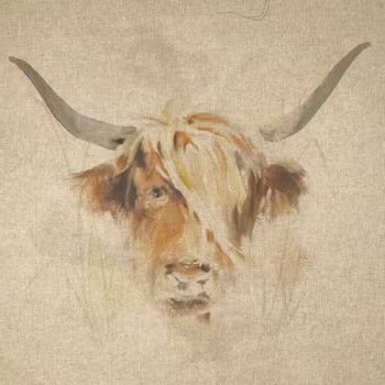 Highland Cow - panel 4