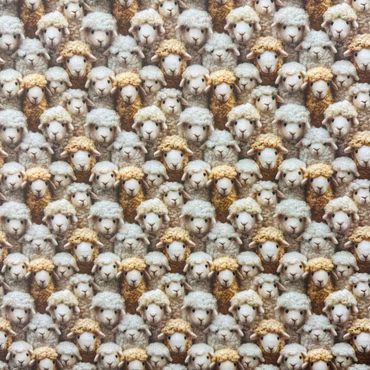 Polycotton - Beige Sheep