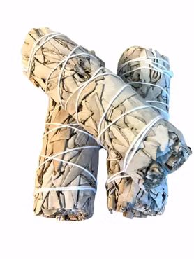 Vit Salvia 3-Pack (white californian sage)