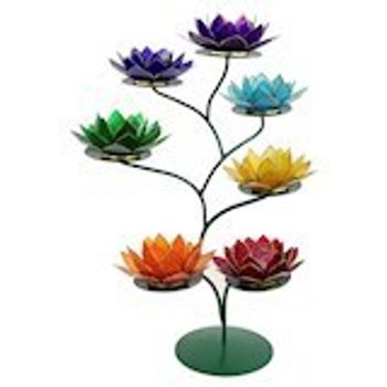 Chakra Lotus Display