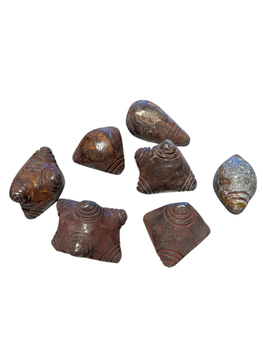 Chumpi stone set (meteorit) s/m