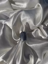 Statement Shell Ring Silver