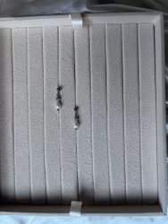 Lina Earrings silver