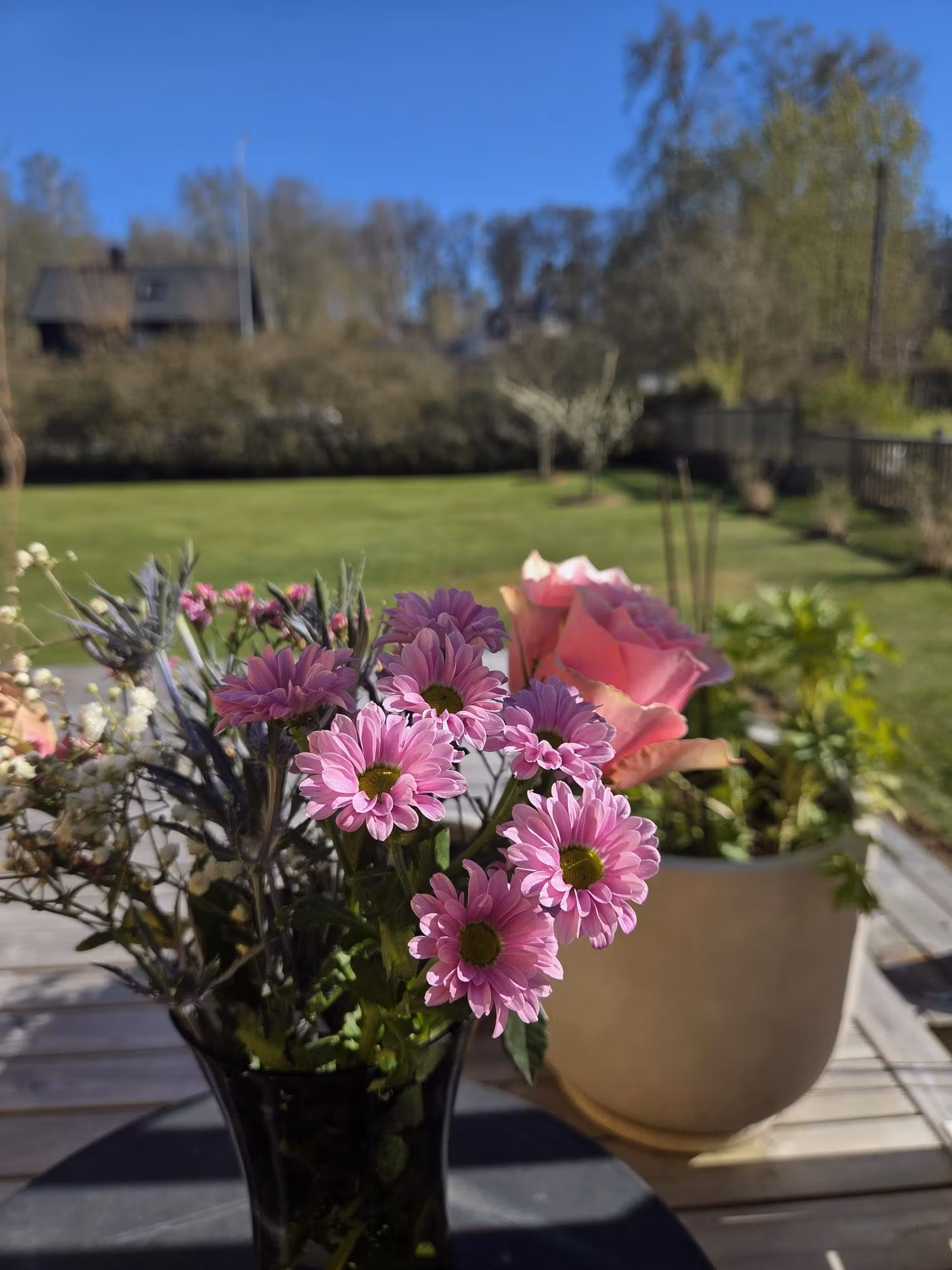 Våren är i full blom! 🥰😍