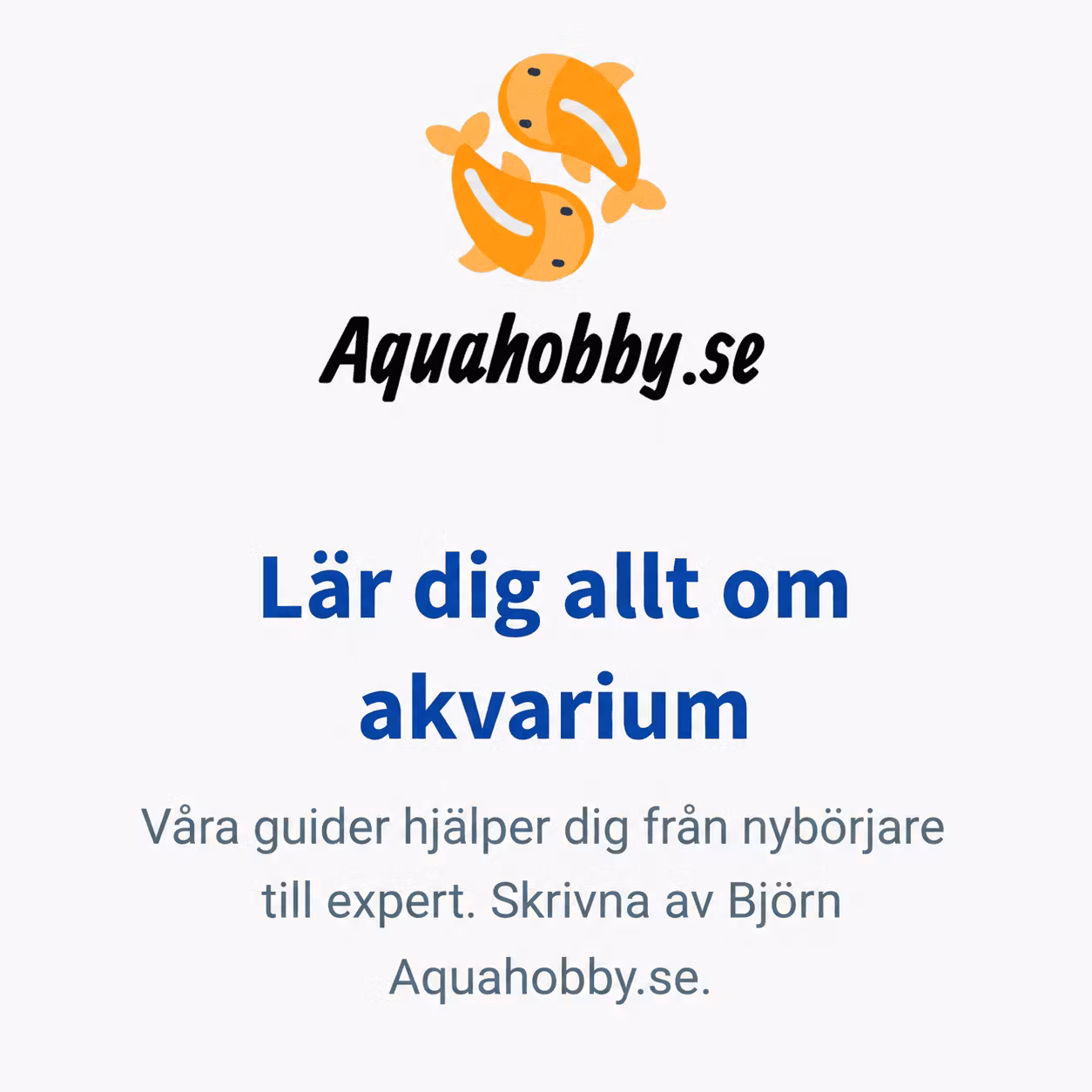Kolla in vår nyhet! 🥰