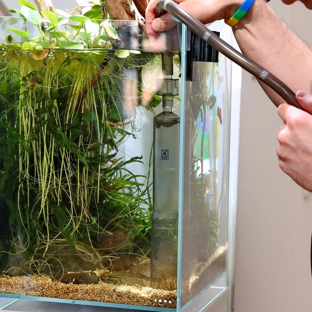 Slamsugar - Aquahobby.se