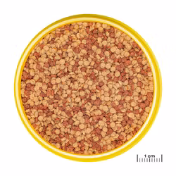 JBL Pronovo Color Grano Small Click 100ml – Färgstärkande granulatfoder för tropiska fiskar