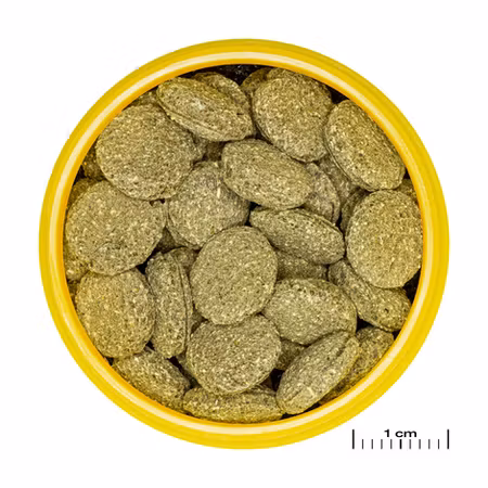 JBL Pronovo Pleco Wafer M 100ml