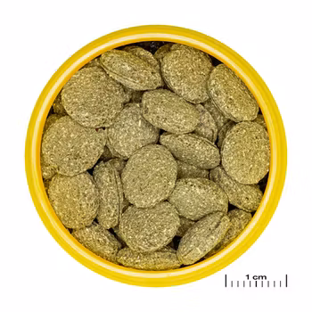 JBL Pronovo Pleco Wafer XL 1000ml