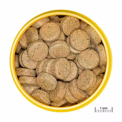 JBL Pronovo Tab Medium 5,5l