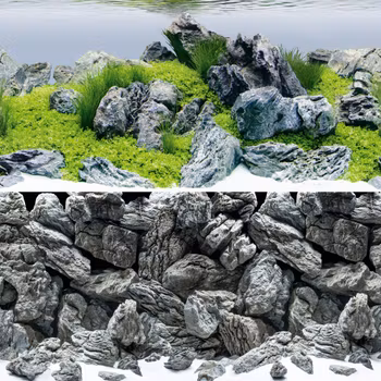 Juwel Poster 4 – Rock & Aquascape (60x30 cm)
