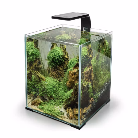 Aquael Leddy Smart Day & Night Plant (Svart)