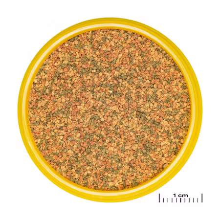 JBL Pronovo Bel Grano XS Click 100ml