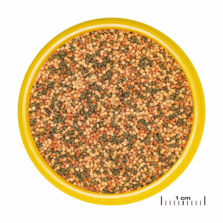 JBL Pronovo Bel Grano Small Click 100ml