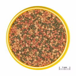 JBL Pronovo Bel Grano Medium Click 250ml – Pellets för medelstora fiskar