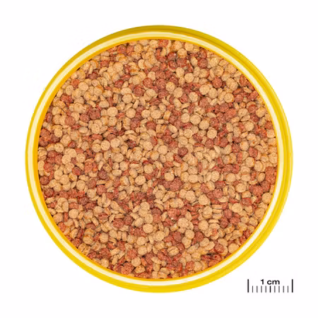 JBL Pronovo Color Grano Medium Click 250ml