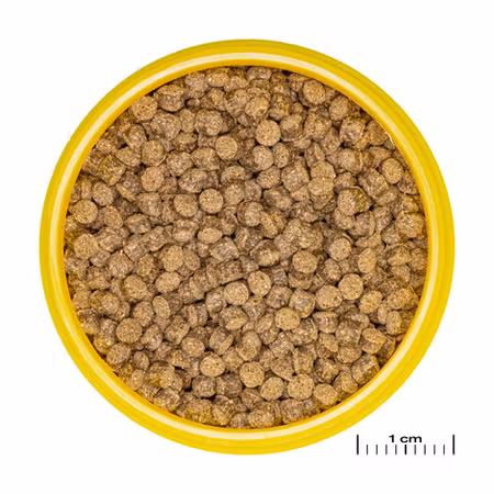 JBL Pronovo Fantail Grano M Click 250ml