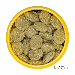 JBL Pronovo Pleco Wafer XL 250ml – Extra stora wafers för plecos