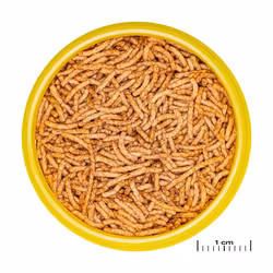 JBL Pronovo Red Insect Stick Small 100ml