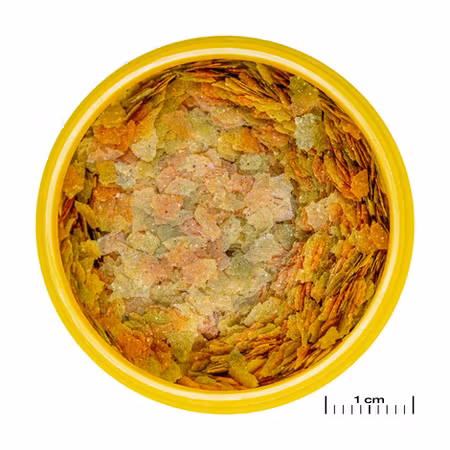 JBL Pronovo Betta Flakes S 100ml
