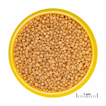 JBL Pronovo Ciklid Grano Small CLICK 100ml