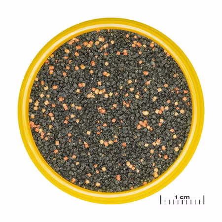 JBL Pronovo Guppy Grano Small 100ml