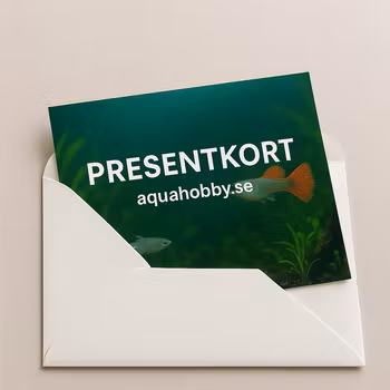 Presentkort 100kr