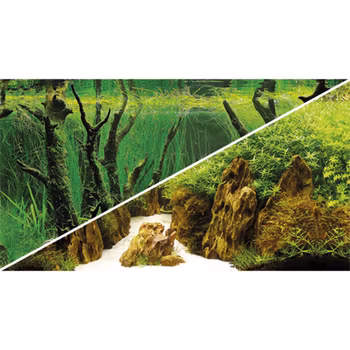Hobby Bakgrund Canyon/Woodland 25m/60cm