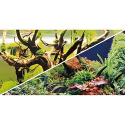 Hobby Bakgrund Green Secret/Wood Island 25m/60cm