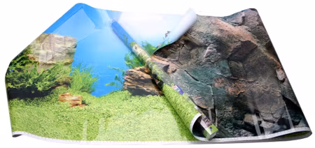Juwel Poster 1 – Plant & Rock (150 x 60 cm)