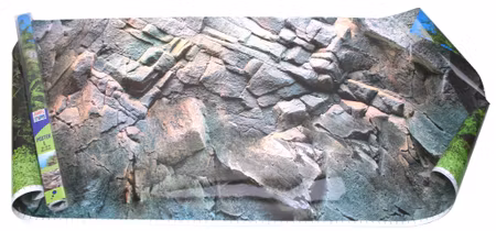Juwel Poster 1 – Plant & Rock (150 x 60 cm)